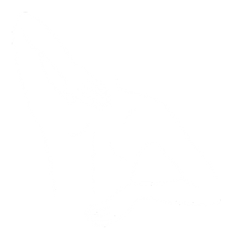 Compléments alimentaires articulations