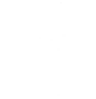 Compléments alimentaires circulation sanguine