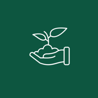 complément alimentaire gemmo