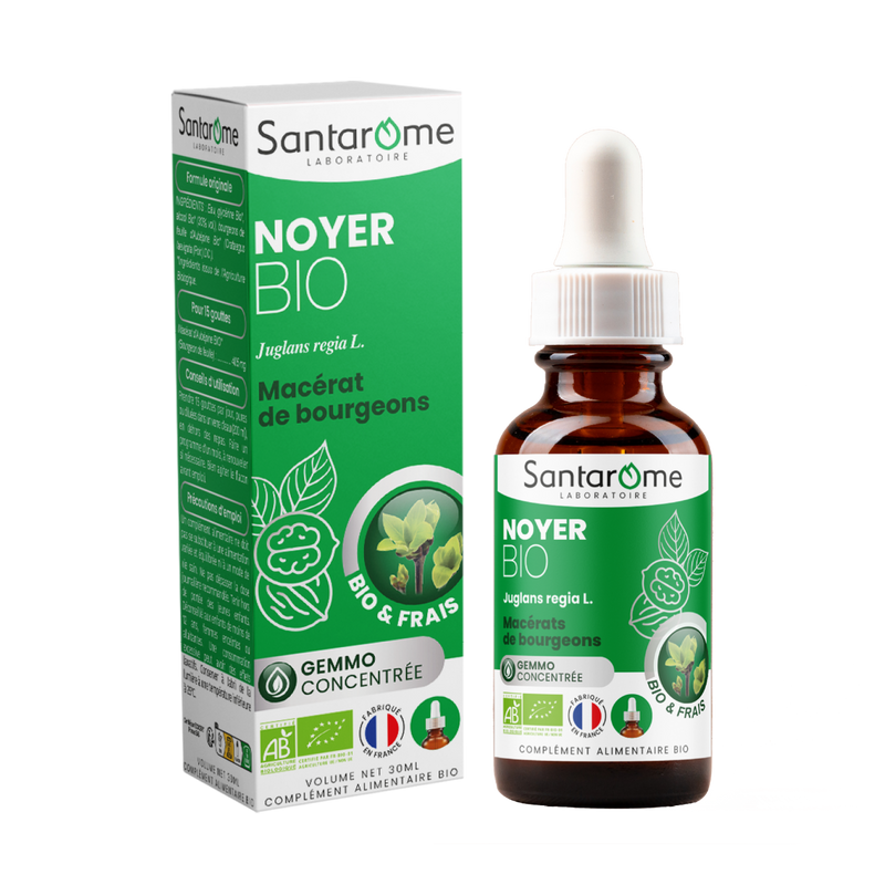Macérat de Bourgeons - Noyer Bio