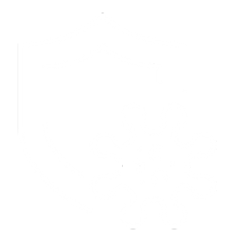 Compléments alimentaires immunité