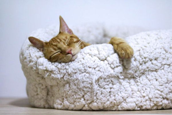 Melatonin