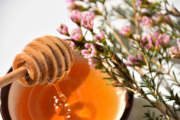 8 bienfaits du miel de Manuka dans le traitement des problèmes de peau