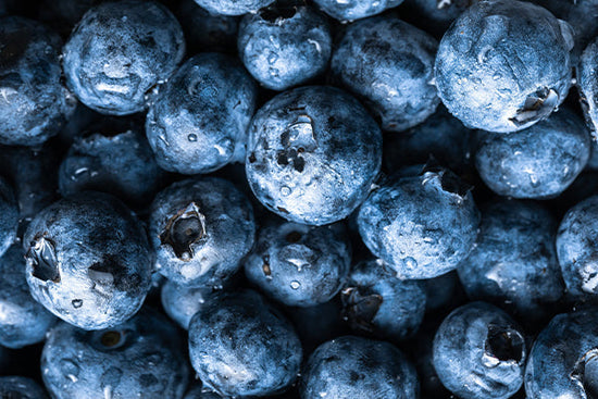 myrtille_fruit_plante_pousse_cheveux