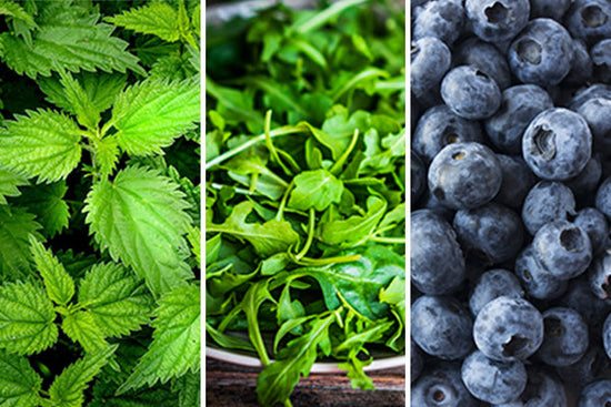 ortie_myrtille_roquette