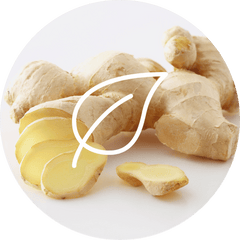 Complément alimentaire Gingembre