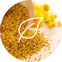 Complément alimentaire Pollen