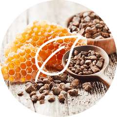 Compléments alimentaires Propolis