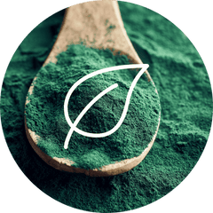 Complément alimentaire Spiruline