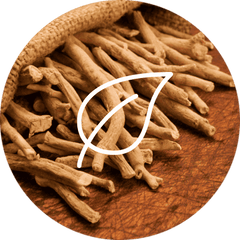 Complément alimentaire Ashwagandha