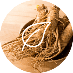 Complément alimentaire Ginseng