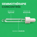 Macérat de Bourgeons - Confort Intestinal Bio