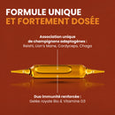 Reishi, Lion’s Mane, Chaga & Cordyceps Bio - 10 ampoules