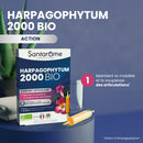 Harpagophytum Bio 2000 - 20 ampoules