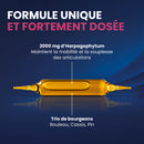Harpagophytum Bio 2000 - 20 ampoules