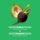 Artichaut Bio Radis Noir Bio - 20 ampoules