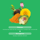 Bien-Être du Foie Bio - Hépatonic - 20 ampoules