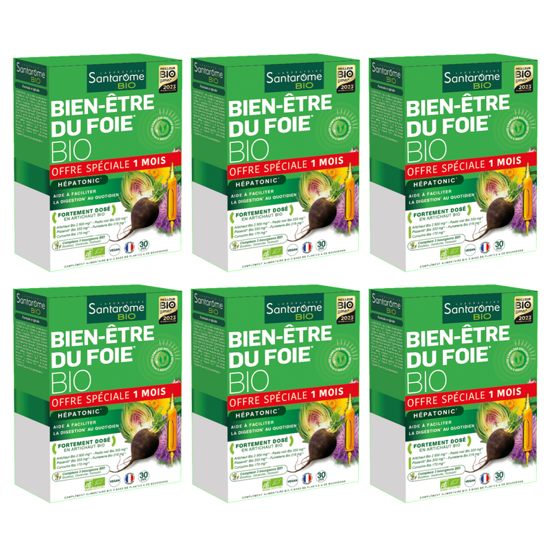 Acheter BienÊtre du Foie Bio Hépatonic 30 ampoules Santarome