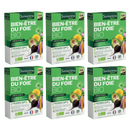 Bien-Être du Foie Bio - Hépatonic - 20 ampoules