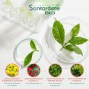 Roll-on Coups & Bosses Bio