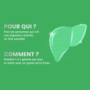 Desmodium 2500 - 30 gélules