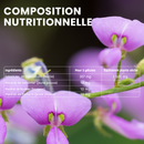 Desmodium 2500 - 30 gélules