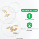 Desmodium 2500 - 30 gélules