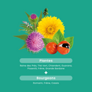 Draineur Élimination Bio - 20 ampoules