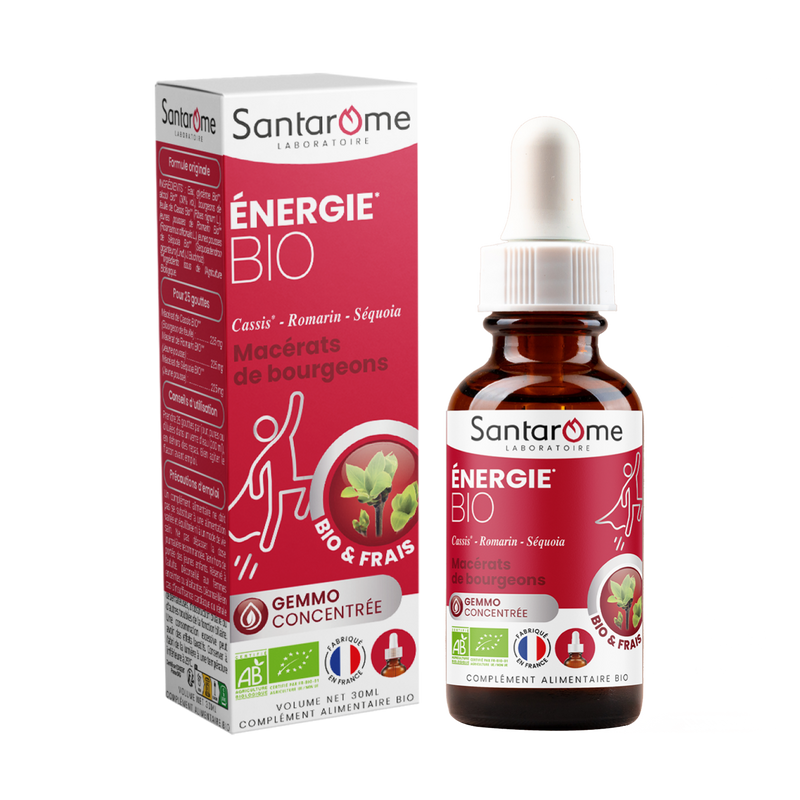 Macérat de Bourgeons - Énergie Bio