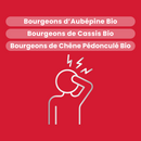Macérat de Bourgeons - Charge Mentale Bio