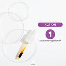 Macérat de Bourgeons - Airelle Bio