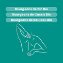 Macérat de Bourgeons - Confort Articulaire Bio