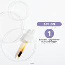 Macérat de Bourgeons - Cassis Bio