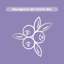 Macérat de Bourgeons - Cassis Bio