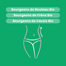 Macérat de Bourgeons - Détox Minceur Bio