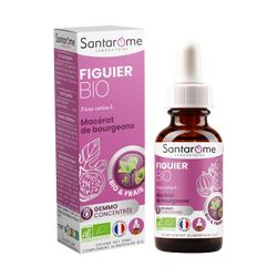 Macérat de Bourgeons - Figuier Bio
