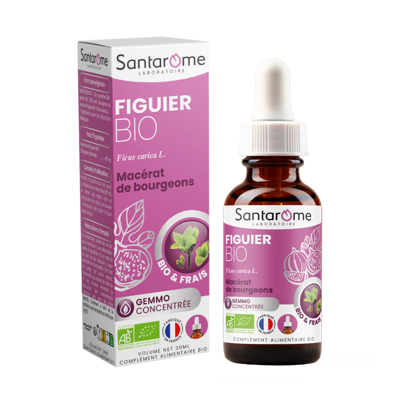 Macérat de Bourgeons - Figuier Bio