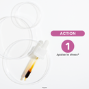 Macérat de Bourgeons - Figuier Bio