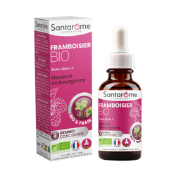 Macérat de Bourgeons - Framboisier Bio