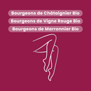 Macérat de Bourgeons - Jambes Légères Bio