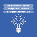 Macérat de Bourgeons - Mémoire Bio