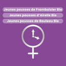 Macérat de Bourgeons - Ménopause Bio