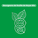 Macérat de Bourgeons - Noyer Bio