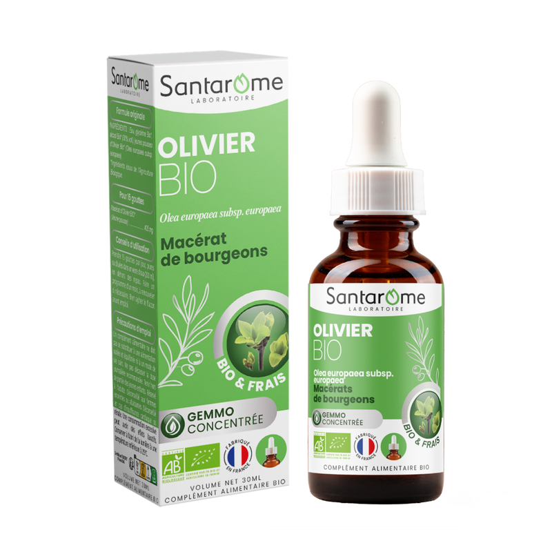 Macérat de Bourgeons - Olivier Bio