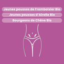 Macérat de Bourgeons - Confort prémenstruel Bio