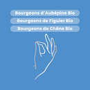 Macérat de Bourgeons - Stress Bio