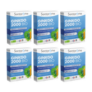 Ginkgo Bio 2000 - 20 ampoules