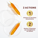 Gelée Royale Bio 1000 - 20 ampoules