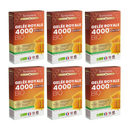 Gelée Royale 4000 Bio - 10 ampoules