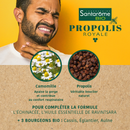 Propolis Royale Gommes Bio